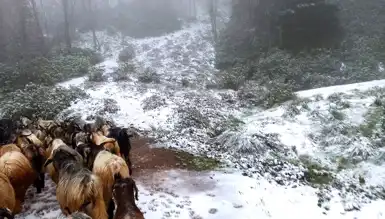 Sakarya'nın Yükseklerinde Kar Yağışı Başladı!